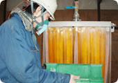 粉砕加工投入(写真)